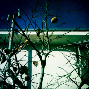 image-20111017231057.png